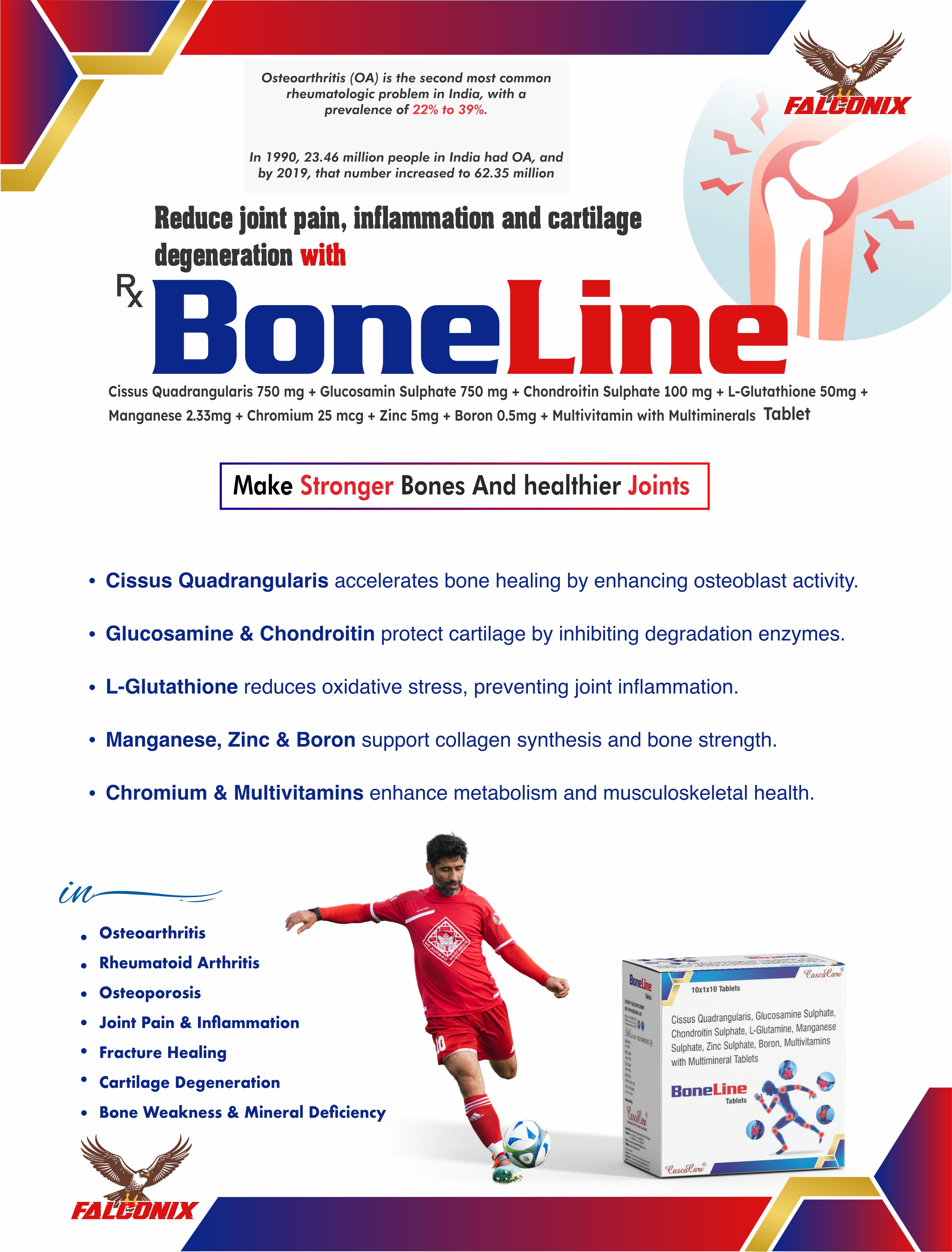 Boneline Tab